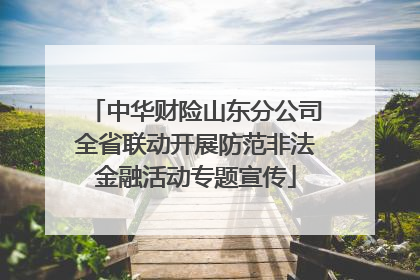 中华财险山东分公司全省联动开展防范非法金融活动专题宣传