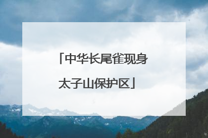 中华长尾雀现身太子山保护区