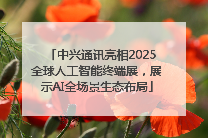 中兴通讯亮相2025全球人工智能终端展，展示AI全场景生态布局