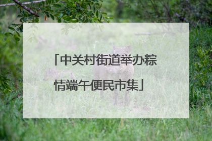 中关村街道举办粽情端午便民市集