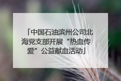 中国石油滨州公司北海党支部开展“热血传爱”公益献血活动