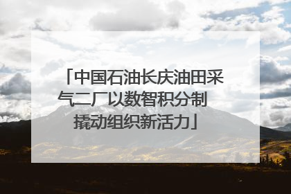 中国石油长庆油田采气二厂以数智积分制 撬动组织新活力