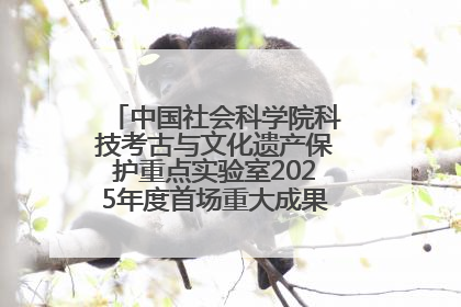 中国社会科学院科技考古与文化遗产保护重点实验室2025年度首场重大成果发布会在京举行