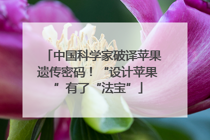中国科学家破译苹果遗传密码！“设计苹果”有了“法宝”