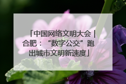 中国网络文明大会｜合肥：“数字公交”跑出城市文明新速度
