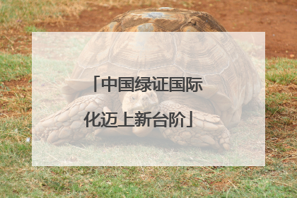 中国绿证国际化迈上新台阶