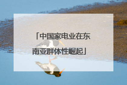 中国家电业在东南亚群体性崛起