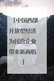 中国西部开放型经济为民营企业带来新商机