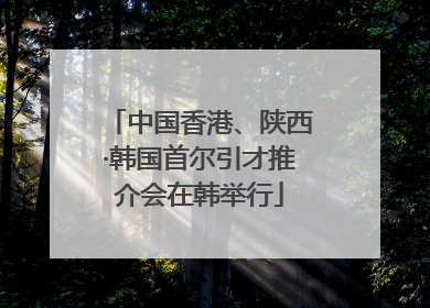 中国香港、陕西·韩国首尔引才推介会在韩举行