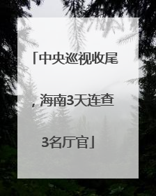 中央巡视收尾，海南3天连查3名厅官