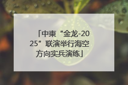 中柬“金龙-2025”联演举行海空方向实兵演练