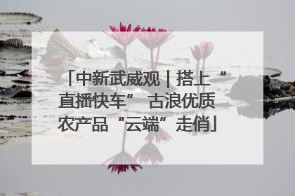 中新武威观｜搭上“直播快车” 古浪优质农产品“云端”走俏