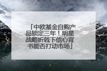 中欧基金自购产品锁定三年！明星战略折戟下信心背书能否打动市场