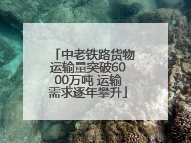 中老铁路货物运输量突破6000万吨 运输需求逐年攀升