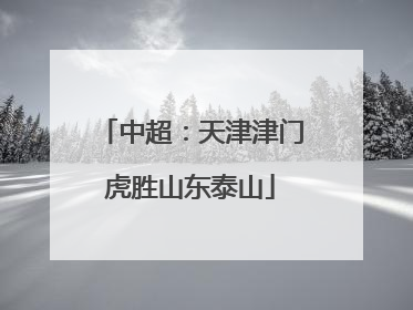 中超：天津津门虎胜山东泰山