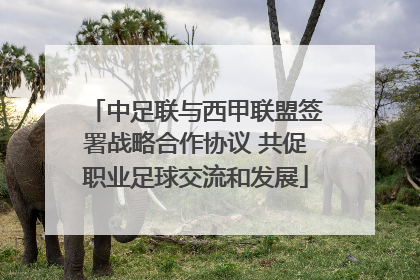 中足联与西甲联盟签署战略合作协议 共促职业足球交流和发展