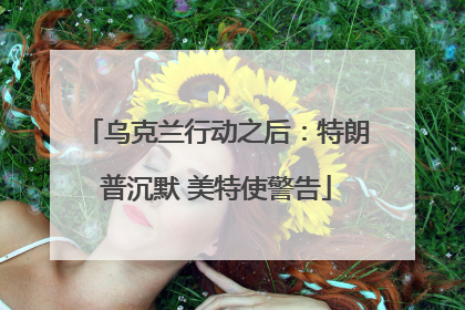 乌克兰行动之后：特朗普沉默 美特使警告