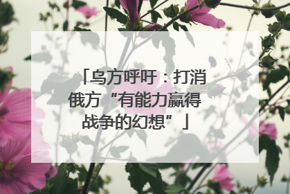 乌方呼吁：打消俄方“有能力赢得战争的幻想”