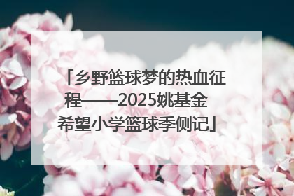 乡野篮球梦的热血征程——2025姚基金希望小学篮球季侧记