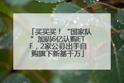 买买买！“国家队”加码6亿认购ETF，2家公募出手自购旗下新基千万
