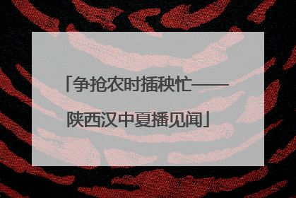 争抢农时插秧忙——陕西汉中夏播见闻