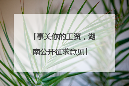 事关你的工资，湖南公开征求意见