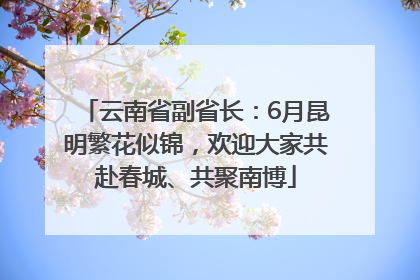 云南省副省长：6月昆明繁花似锦，欢迎大家共赴春城、共聚南博