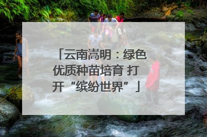 云南嵩明：绿色优质种苗培育 打开“缤纷世界”