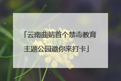 云南曲靖首个禁毒教育主题公园邀你来打卡