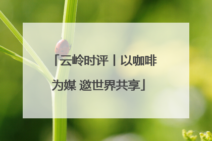 云岭时评丨以咖啡为媒 邀世界共享