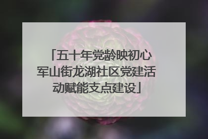五十年党龄映初心 军山街龙湖社区党建活动赋能支点建设