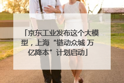 京东工业发布这个大模型，上海“链动众城 万亿降本”计划启动
