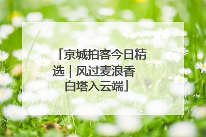 京城拍客今日精选｜风过麦浪香 白塔入云端