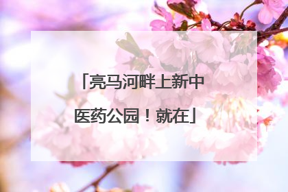 亮马河畔上新中医药公园！就在