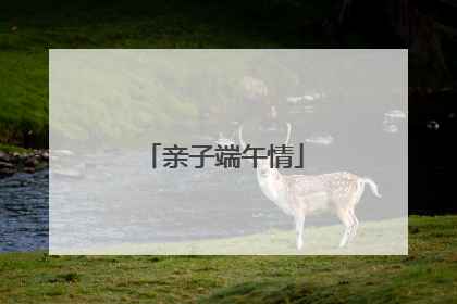 亲子端午情