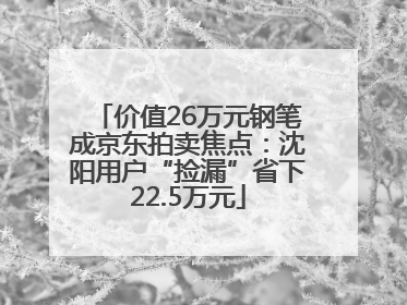 价值26万元钢笔成京东拍卖焦点：沈阳用户“捡漏”省下22.5万元