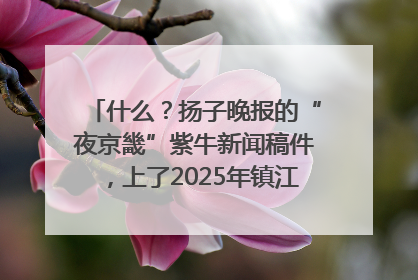 什么？扬子晚报的“夜京畿”紫牛新闻稿件，上了2025年镇江中考模拟卷！
