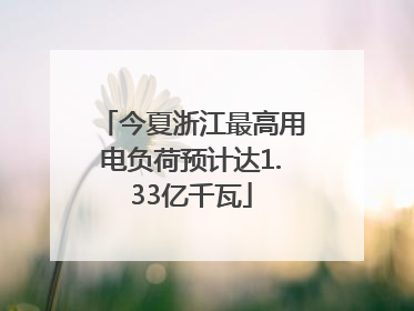 今夏浙江最高用电负荷预计达1.33亿千瓦