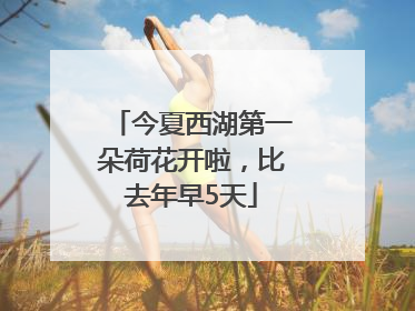 今夏西湖第一朵荷花开啦，比去年早5天