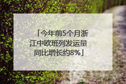 今年前5个月浙江中欧班列发运量同比增长约8%