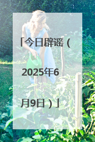 今日辟谣（2025年6月9日）