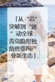从“芯”突破到“链”动全球：青岛隐形独角兽重构产业新生态