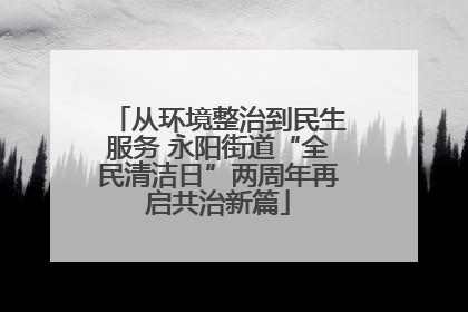 从环境整治到民生服务 永阳街道“全民清洁日”两周年再启共治新篇