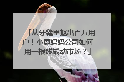 从牙缝里抠出百万用户！小鹿妈妈公司如何用一根线撬动市场？