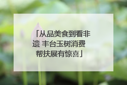 从品美食到看非遗 丰台玉树消费帮扶展有惊喜