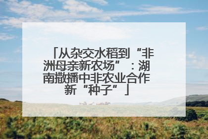从杂交水稻到“非洲母亲新农场”：湖南撒播中非农业合作新“种子”