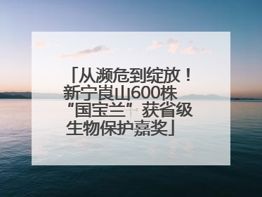 从濒危到绽放！新宁崀山600株“国宝兰”获省级生物保护嘉奖