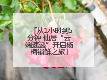 从1小时到5分钟 仙居“云端速递”开启杨梅锁鲜之旅