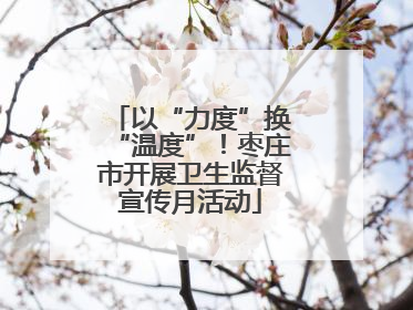 以“力度”换“温度”！枣庄市开展卫生监督宣传月活动