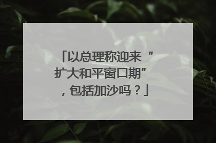 以总理称迎来“扩大和平窗口期”，包括加沙吗？